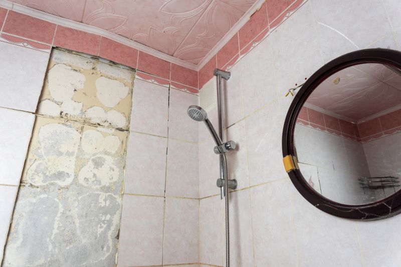 Top Shower Remodeling Companies in Fountain Hills, AZ