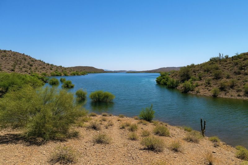 Best Tub To Shower Conversion pros in New River, AZ